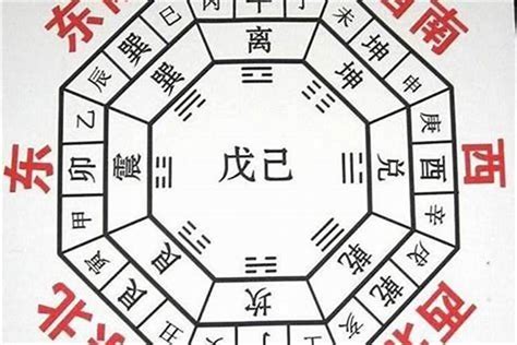 蜈蚣 風水|蜈蚣入宅：吉凶全面剖析